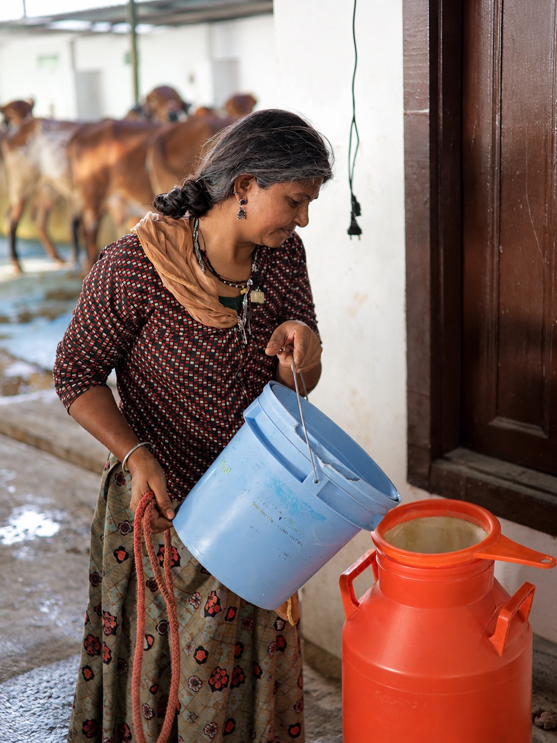 A woman pouring milk into a can at a dairy